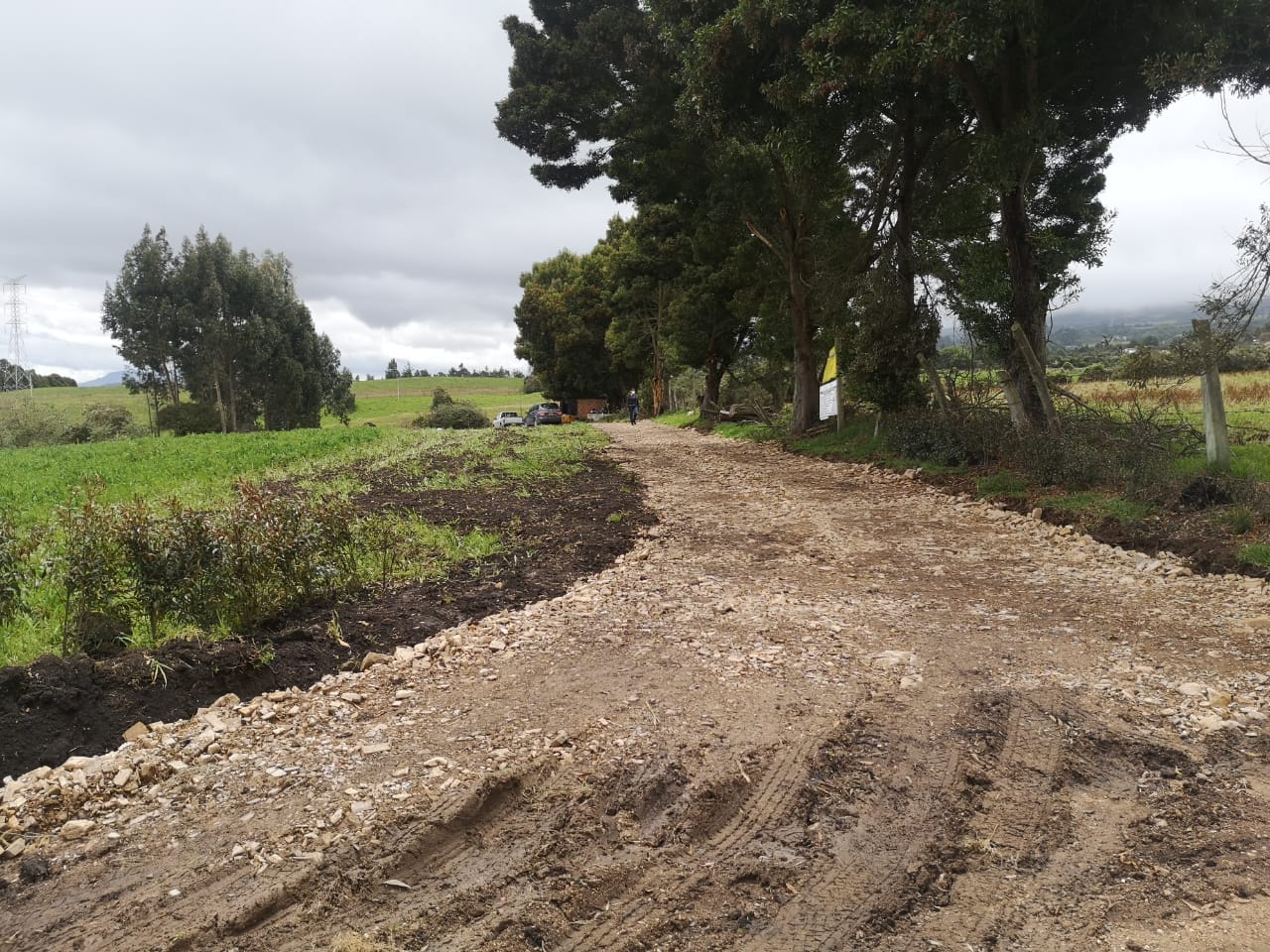 Camino de entrada